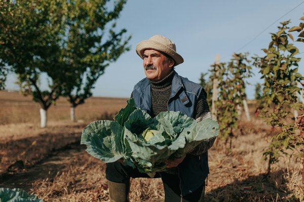 Quelles sont les meilleures pratiques pour un camping sans trace en montagne?