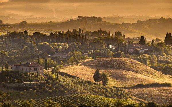 Quels sont les meilleurs endroits pour louer une maison de vacances en Toscane avec des cours de viticulture et des dégustations de vins?